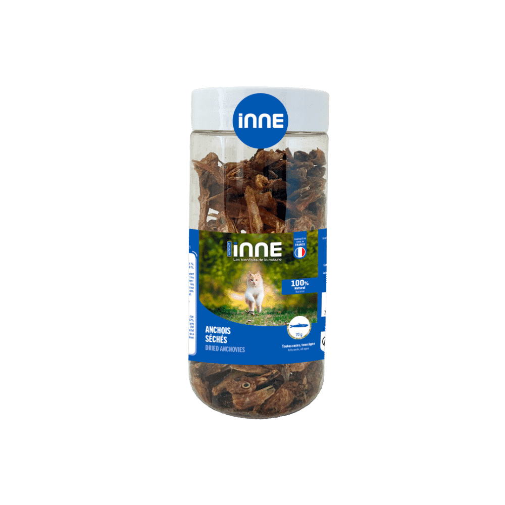 Anchois séchés pour chats