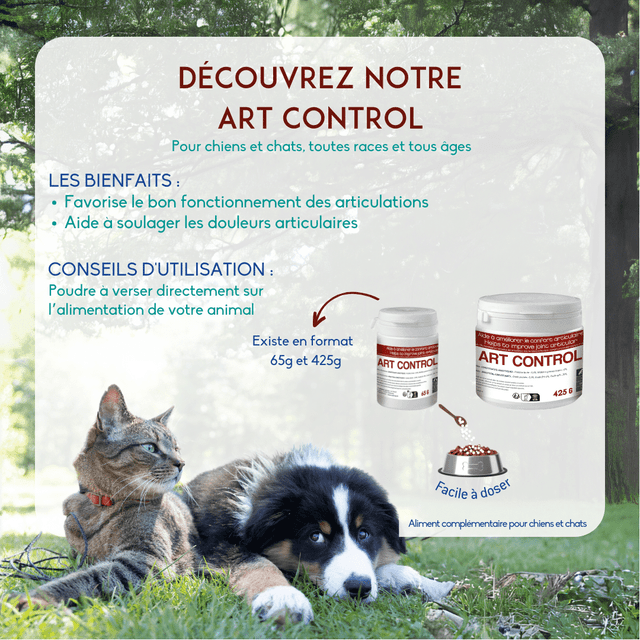 Art control en poudre
