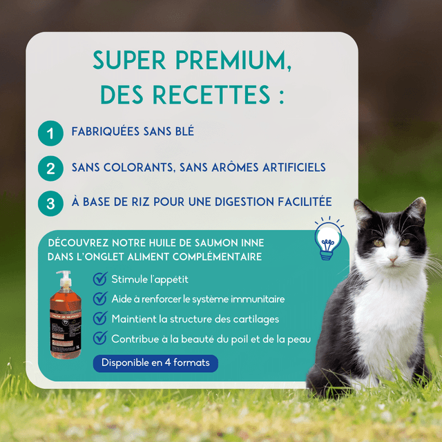 Croquettes chat adulte au saumon