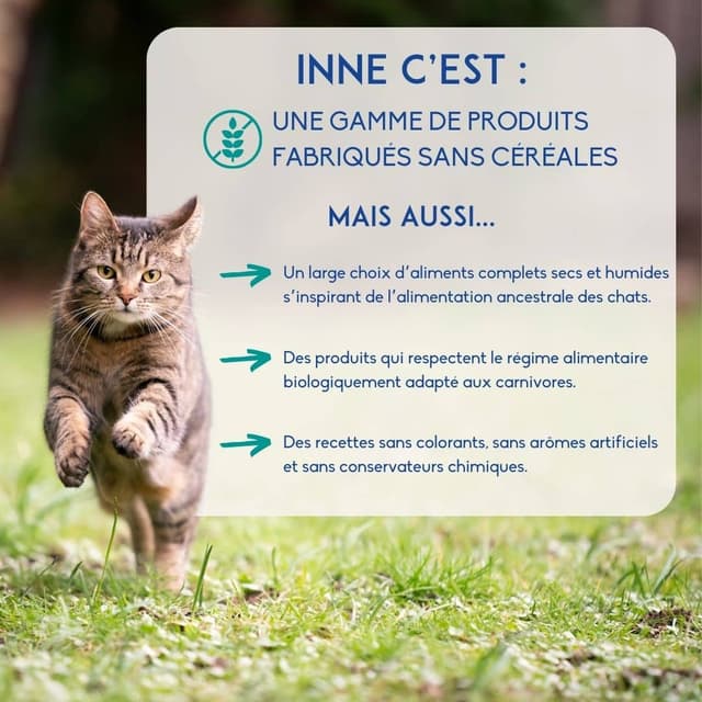 Croquettes chat stérilisé