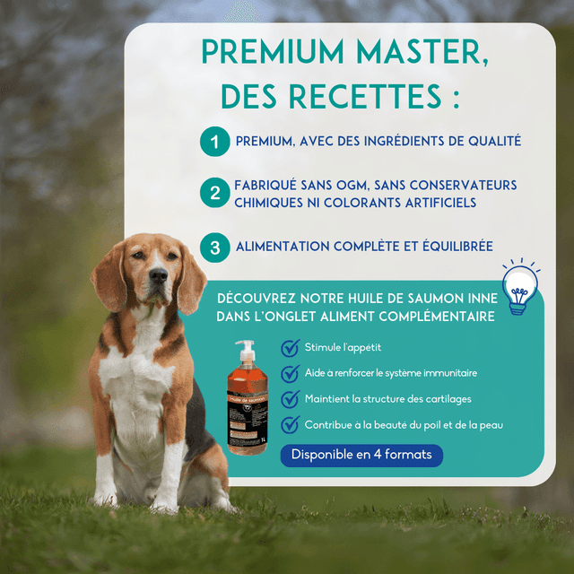 Croquettes chien actif