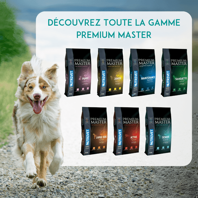 Croquettes chien actif