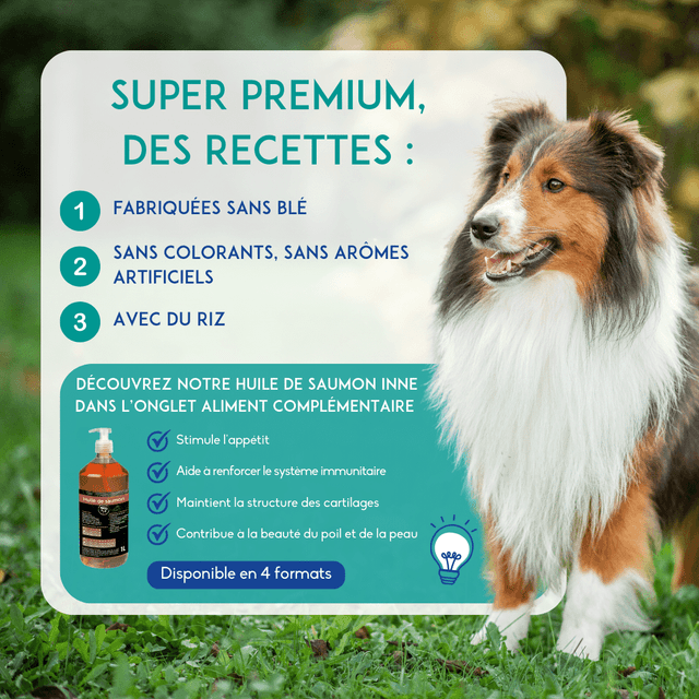 Croquettes chien adulte sensitive