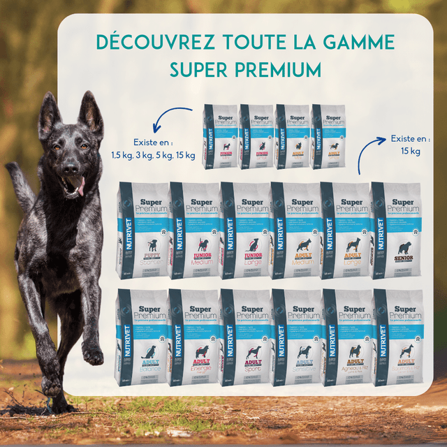 Croquettes chien adulte sensitive