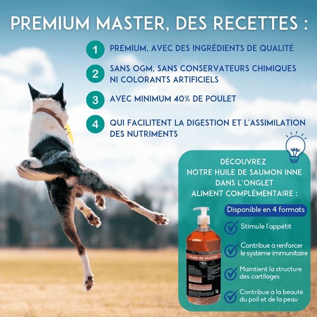 Croquettes chien senior