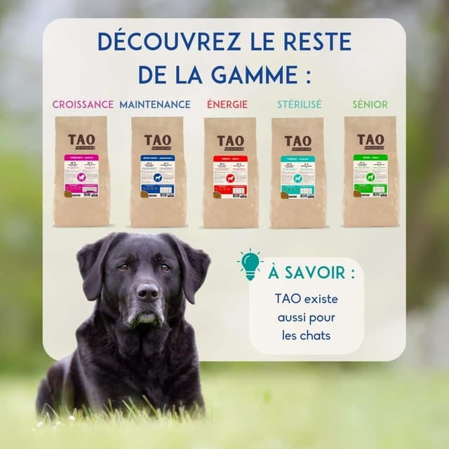 Croquettes chien sénior