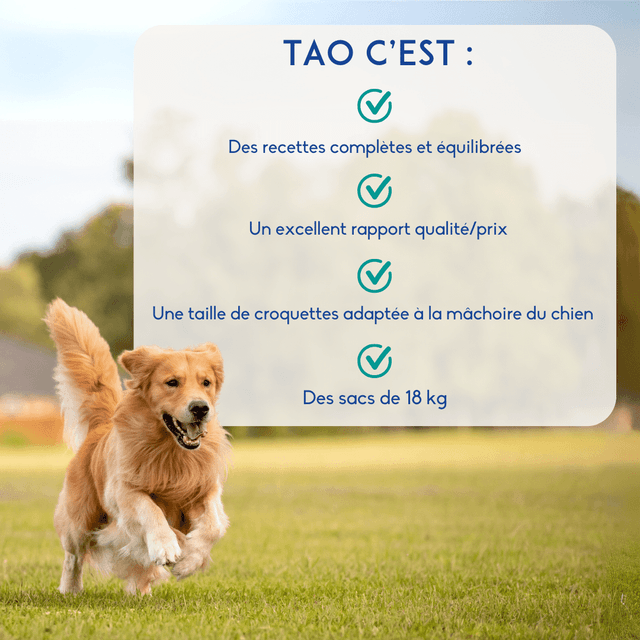 Croquettes chien stérilisé