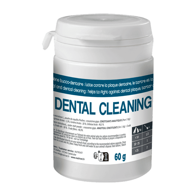 Dental cleaning en poudre