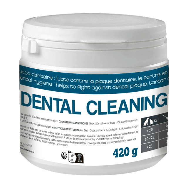 Dental cleaning en poudre