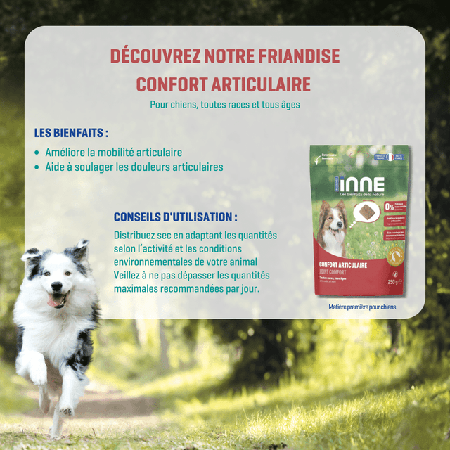 Friandise Confort articulaire pour chiens