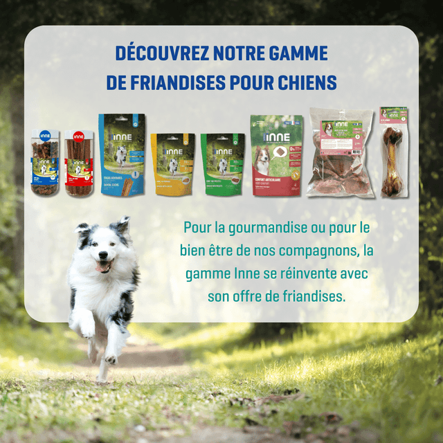 Nerfs de bœuf séchés pour chiens