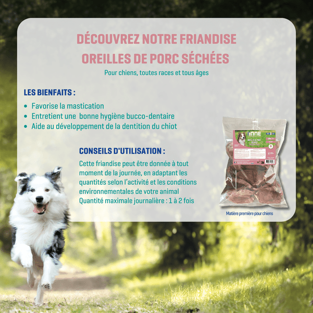 Oreilles de porc séchées pour chiens