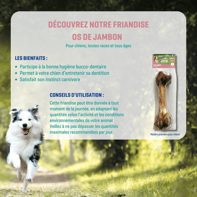 Os de jambon pour chiens