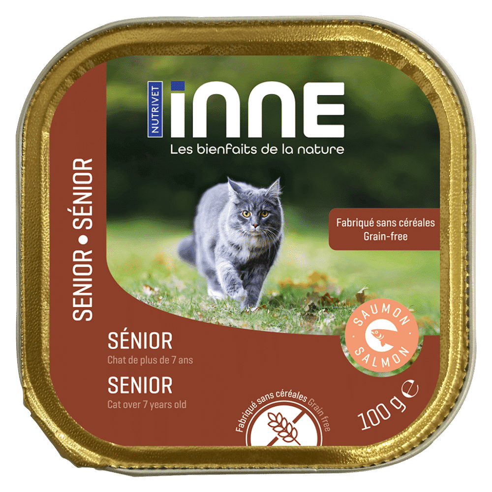 Terrine chat sénior saumon