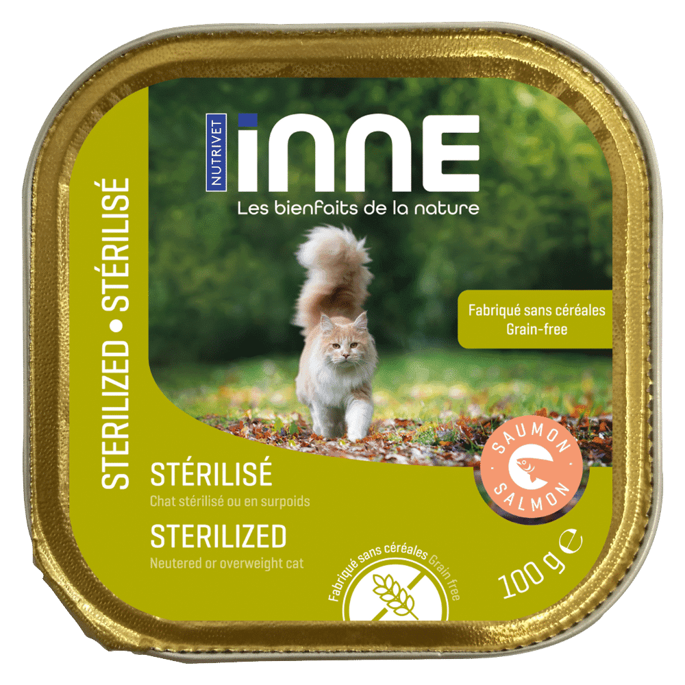 Terrine chat stérilisé saumon