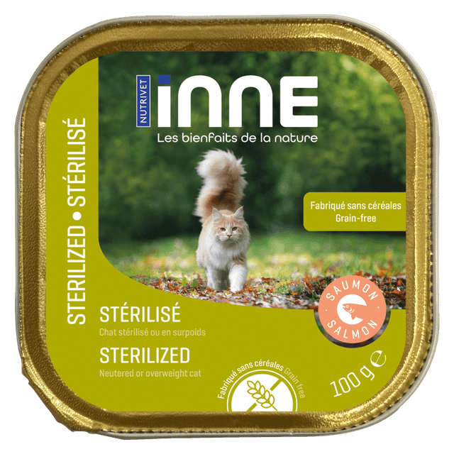 Terrine chat stérilisé saumon