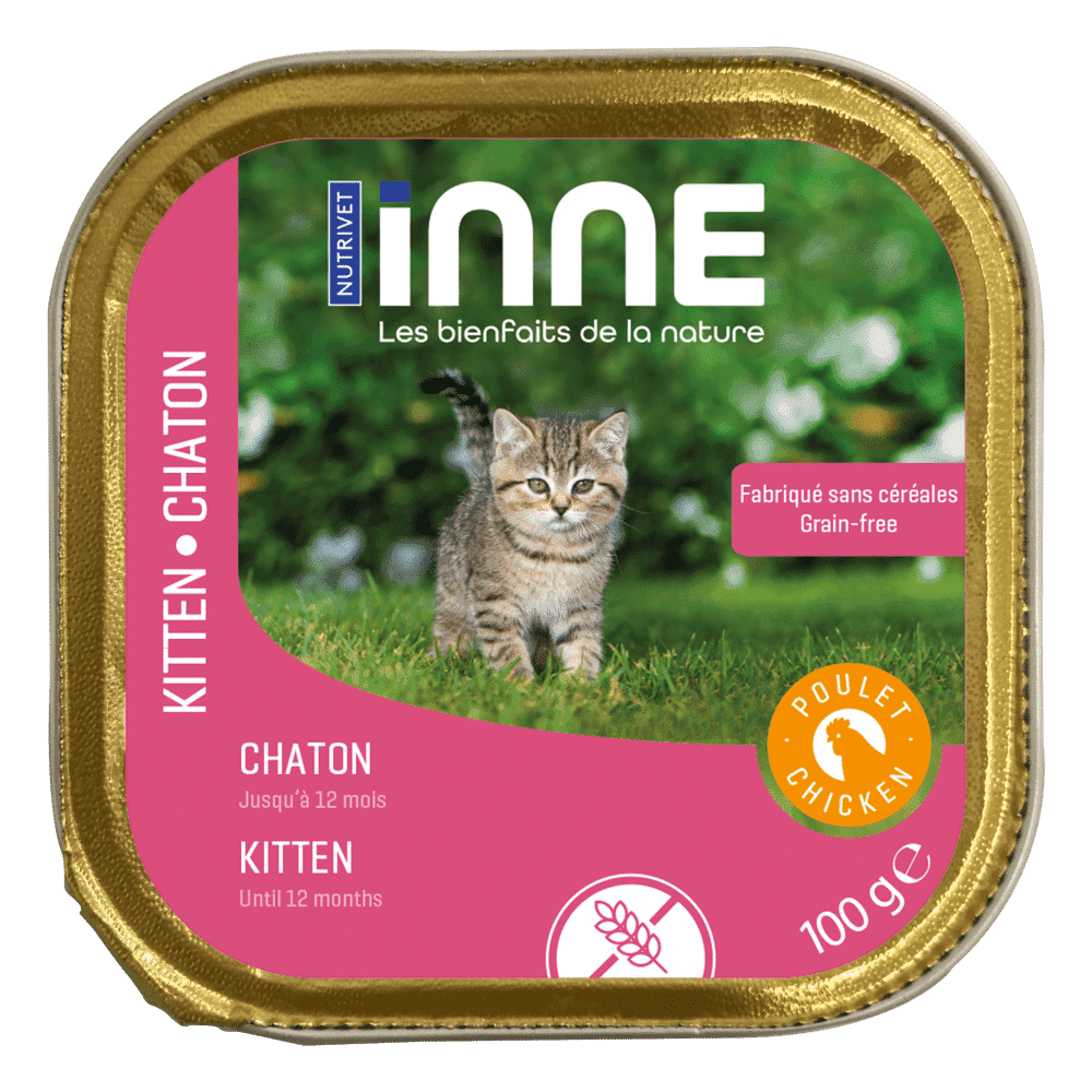 Terrine Inne chaton
