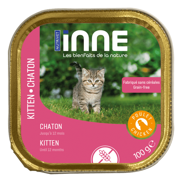 Terrine Inne chaton