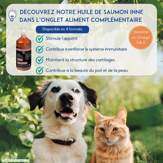 Terrine chaton poulet