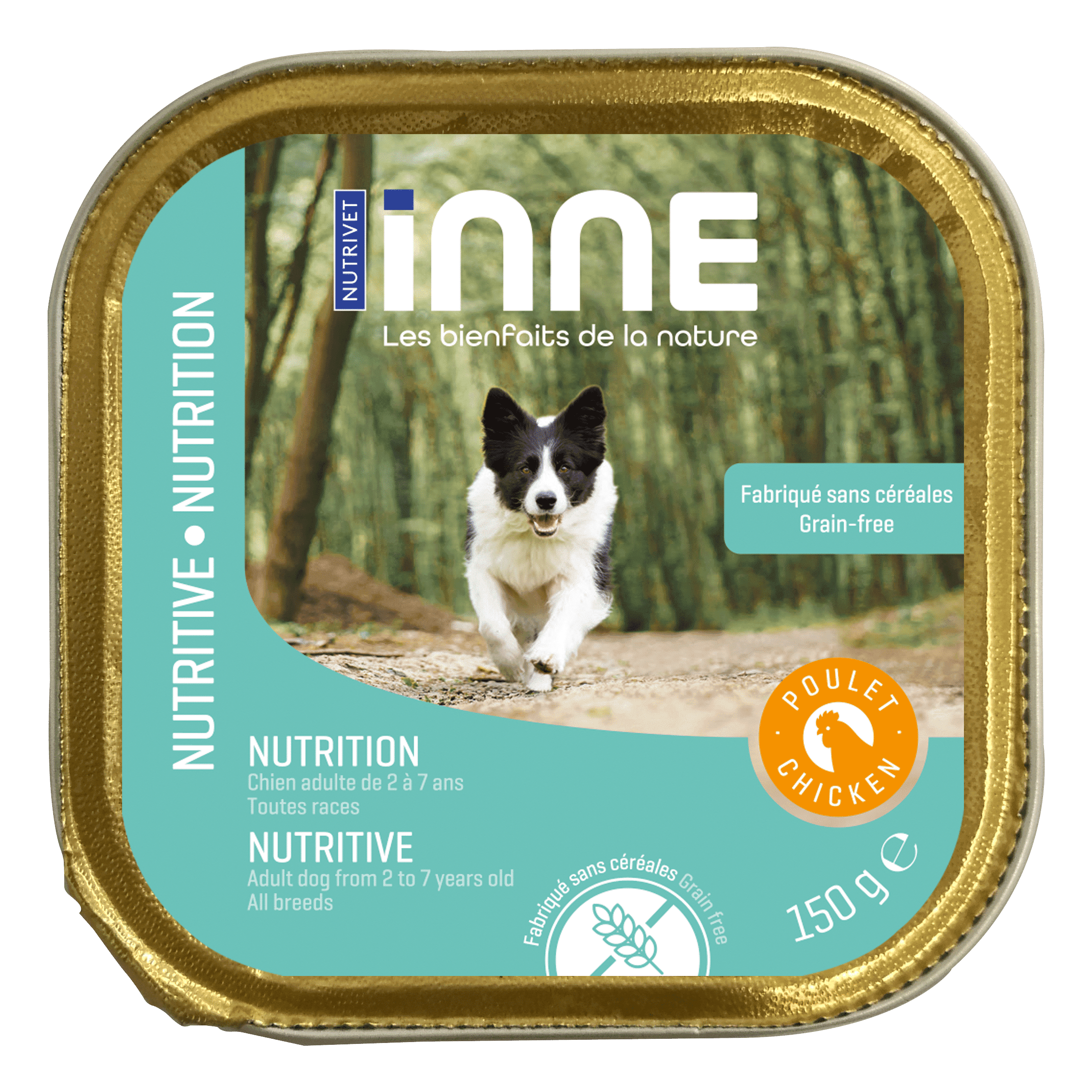 Terrine chien nutrition poulet