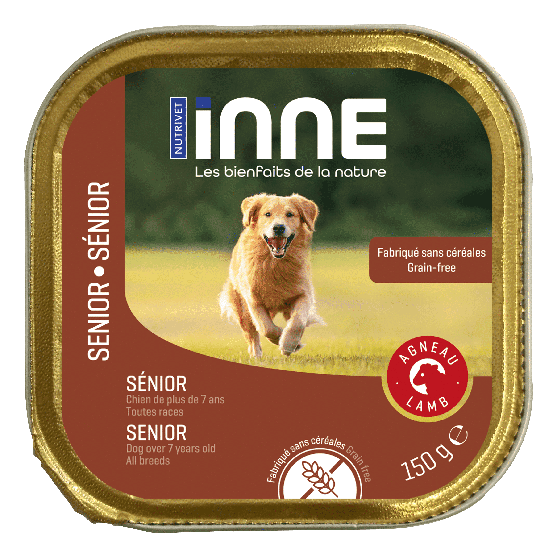 Terrine chien sénior agneau