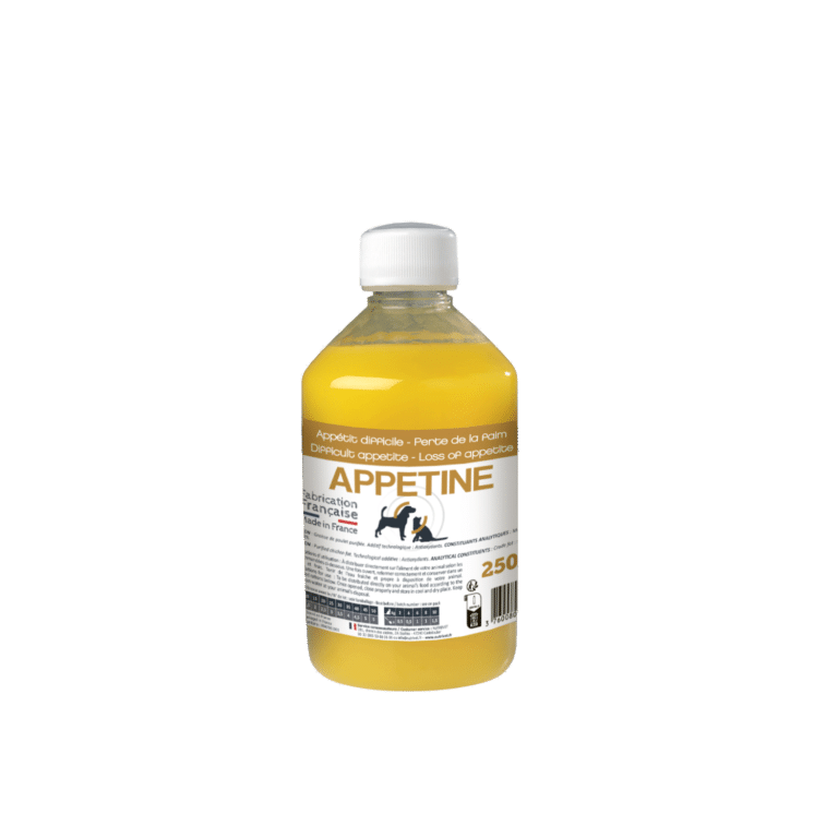 Nutrivet - Complément Nutritionnel Huile de Saumon Sauvage pour Chiens et  Chats - Nutrivet - 250ml - Croquettes pour chat - Rue du Commerce