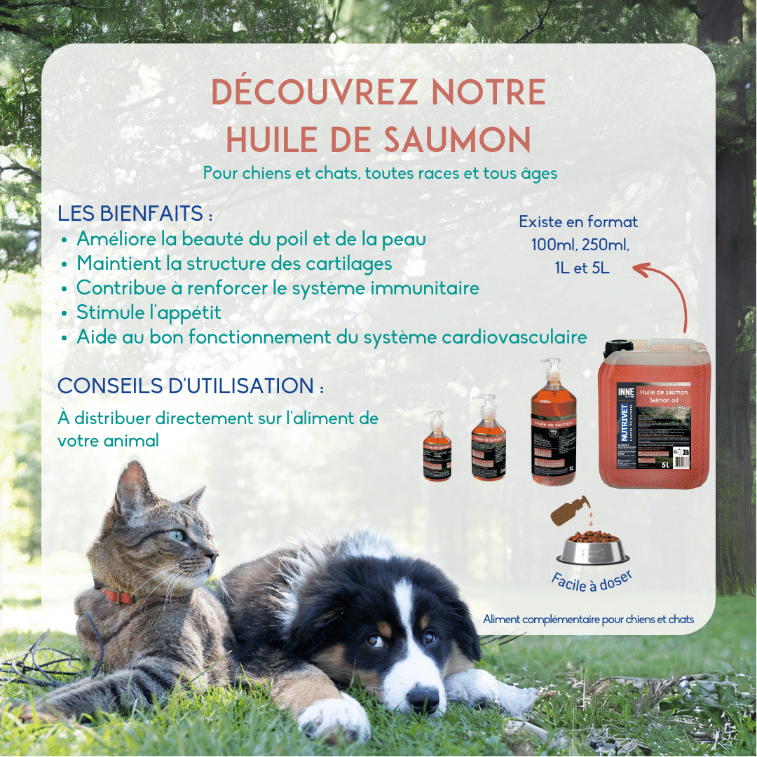 Huile de Saumon pour Chiens - Allergies et système immunitaire - Altudog