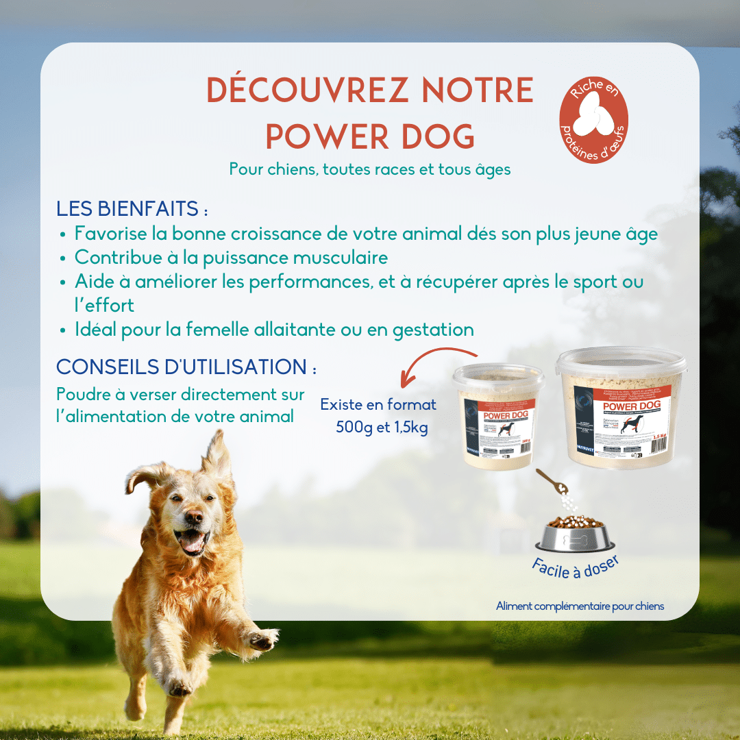 NUTRIVET Power Dog Complément alimentaire pour chiot