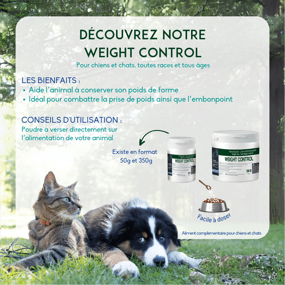 Huile de saumon Nutrivet Inne pour chat et chien